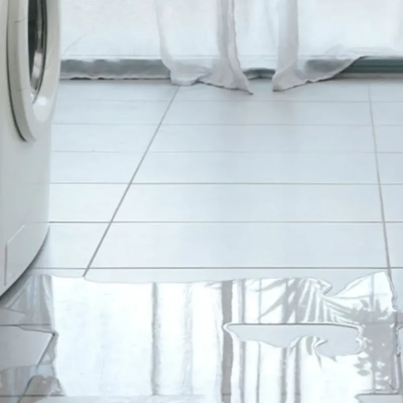 Appliance Leak Cleanup in Sioux County, ND