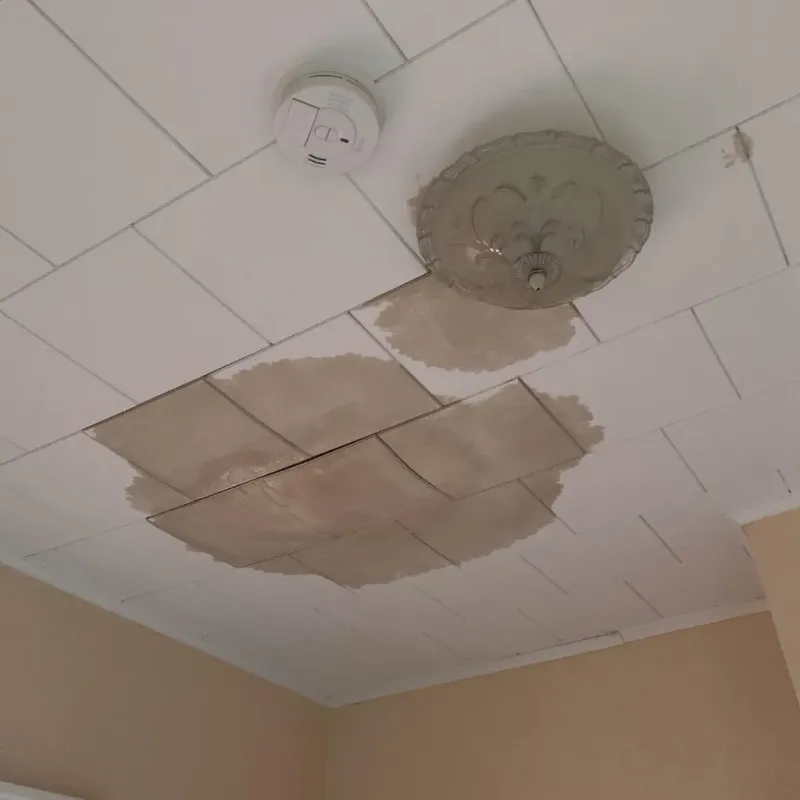 Ceiling Water Damage Repair in Sioux County, ND