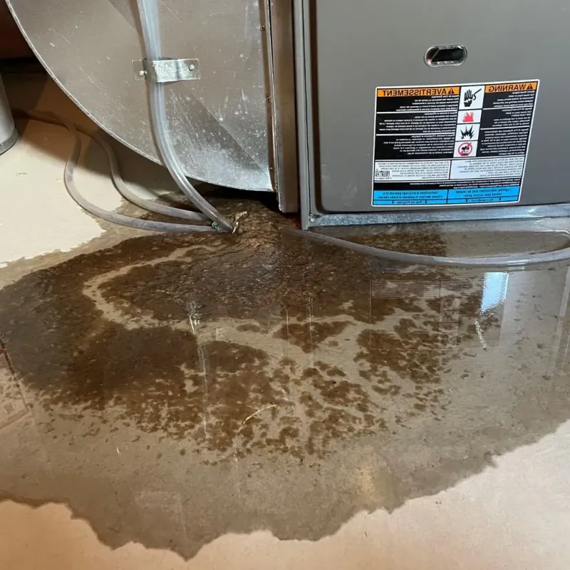 Pipe Burst and Leak Restoration in Sioux County, ND
